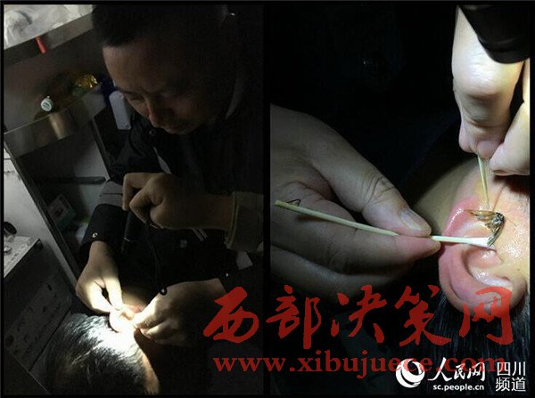 1498439976124232.jpg 11.jpg